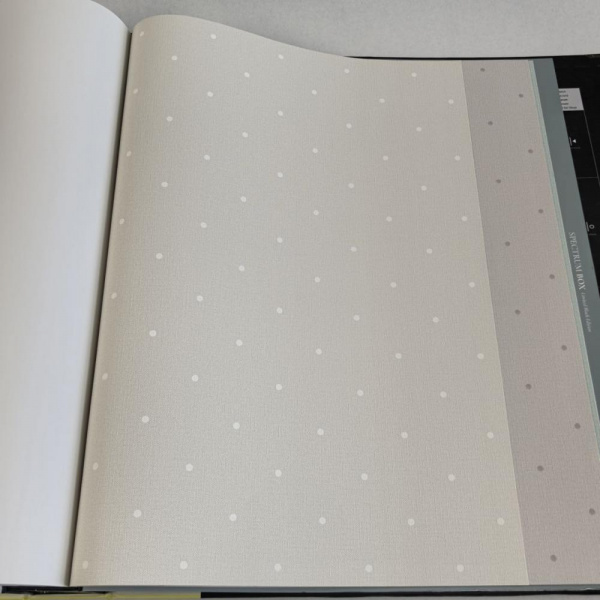 Andrea Rossi Spectrum Box 54454-2