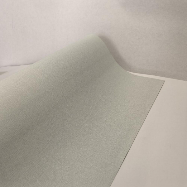 Andrea Rossi Berggi 54452-7