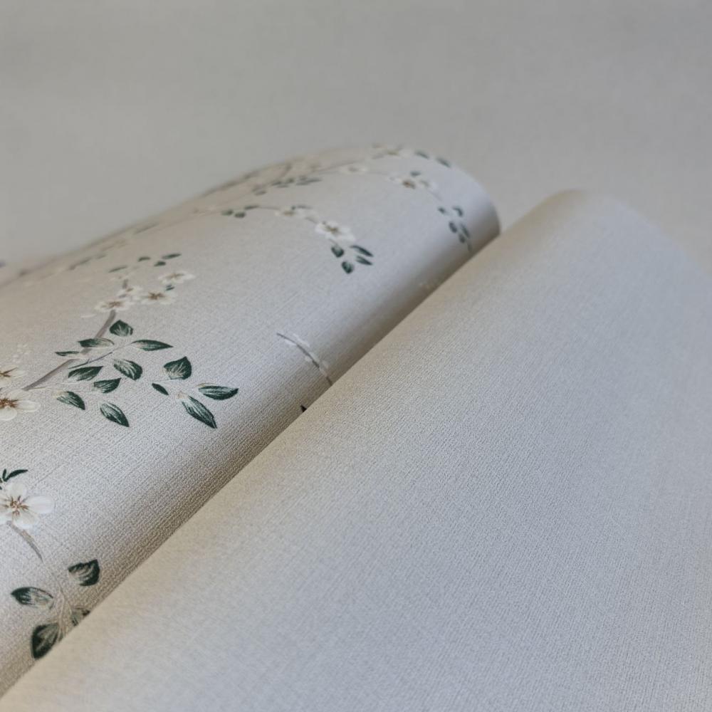 Andrea Rossi Spectrum Box 54459-3