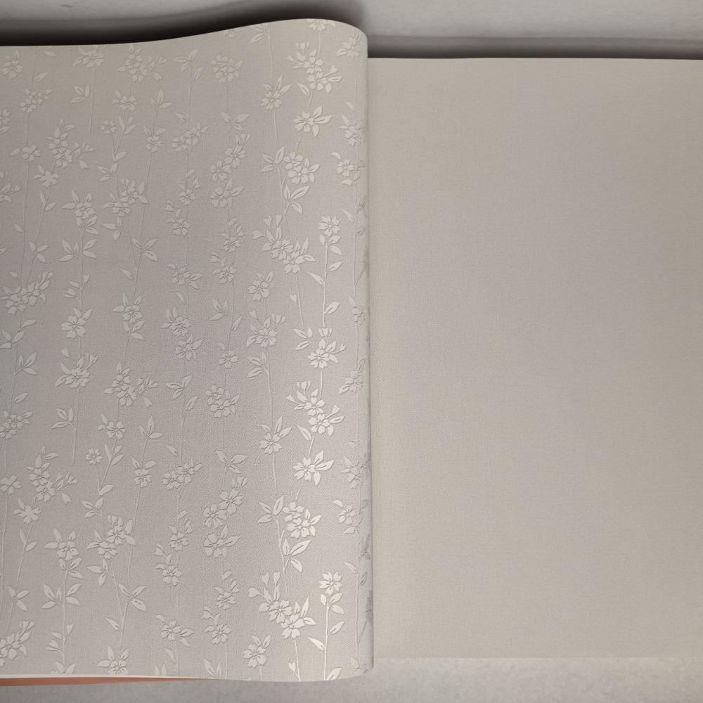 Andrea Rossi Berggi 54451-1