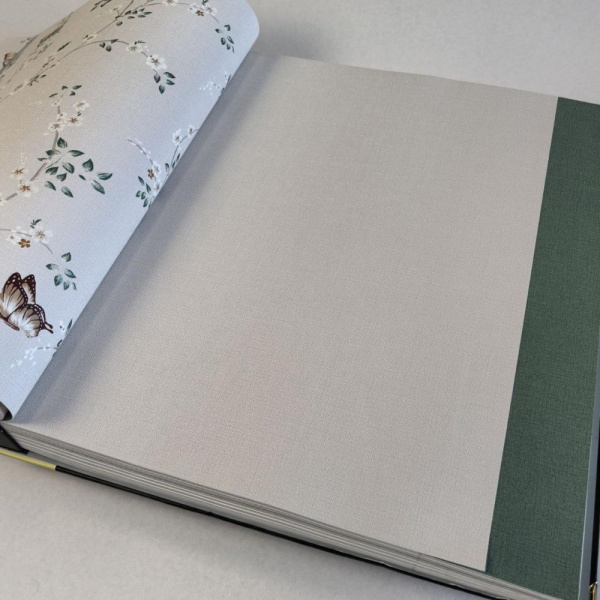 Andrea Rossi Spectrum Box 54459-3