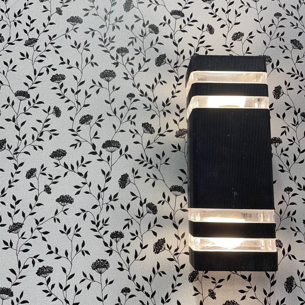 Andrea Rossi Spectrum Box 54456-12 Andrea Rossi Spectrum Box 54456-12